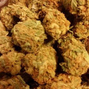 Meet your Posher, Erik